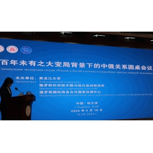 中俄關系圓桌會議