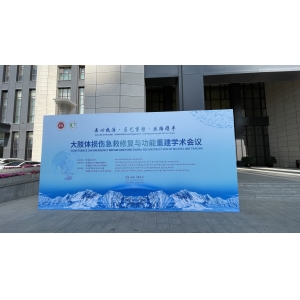 "Ingenuity in Treatment, Cooperation along the Silk Road" International Academic Conference